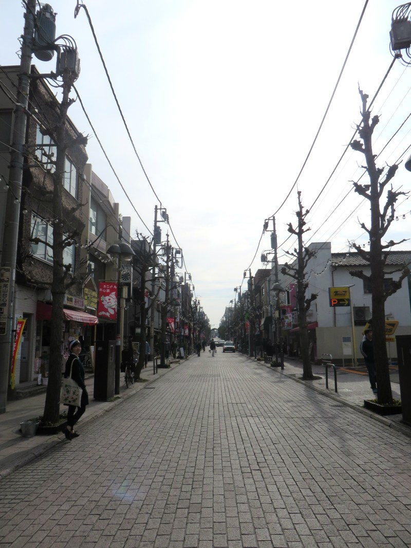 Oyamadai Tokyo street