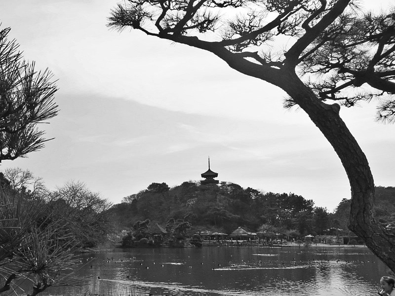 Sankeien Garden Yokohama 1