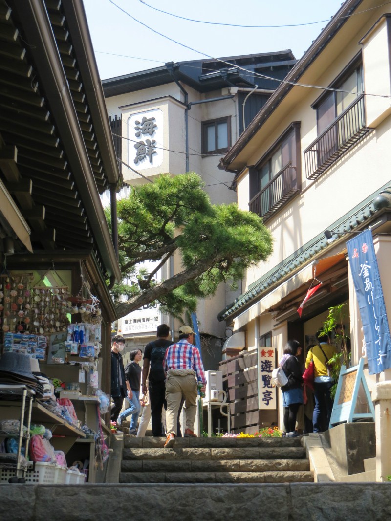 Enoshima Tokyo 10