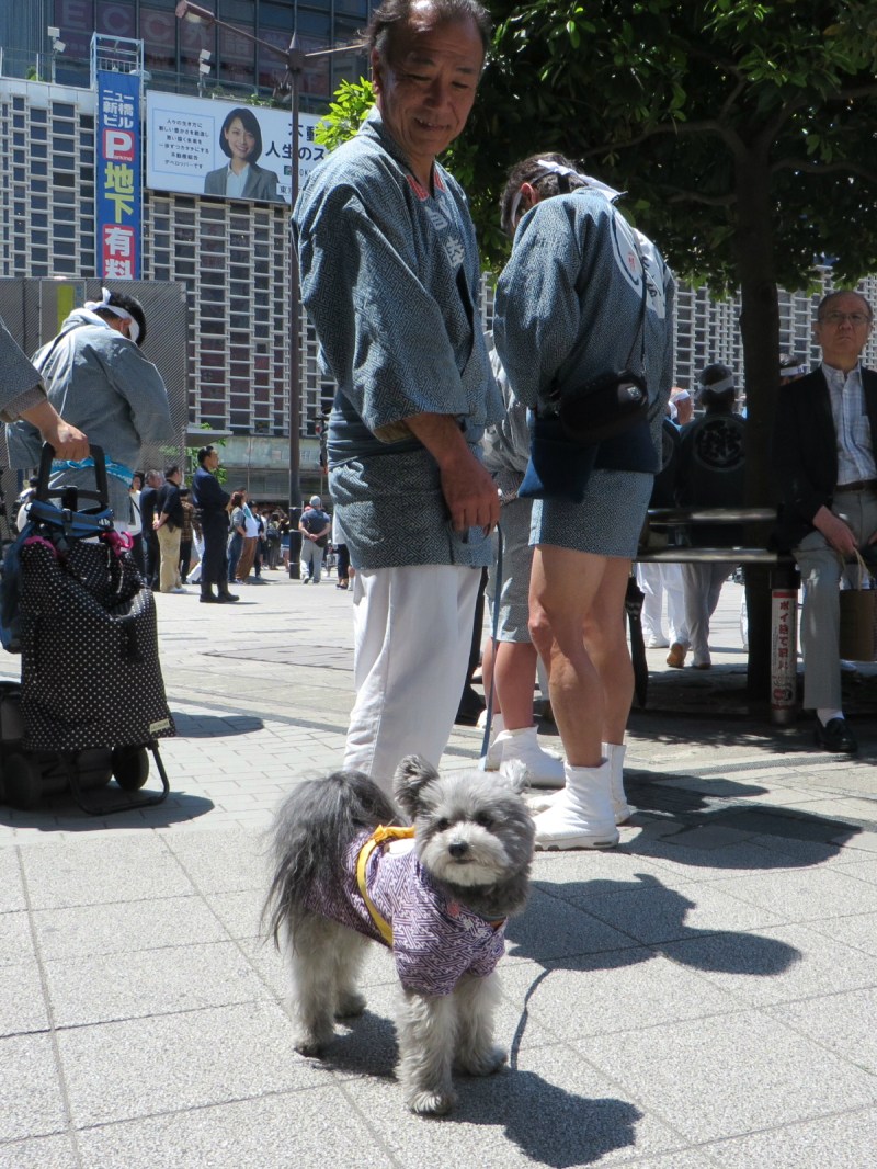Karasumori Inari Shrine Grand Festival 2018 7