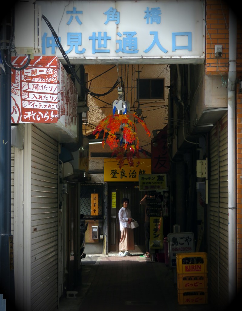 hakuraku Tokyo Kanagawa Yokohama 8