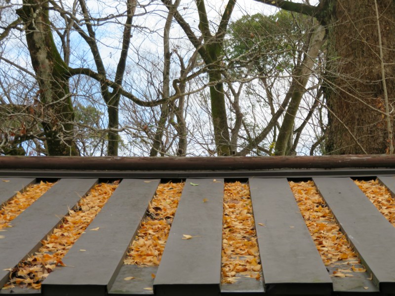 kawai-jinja shrine, kyoto 3