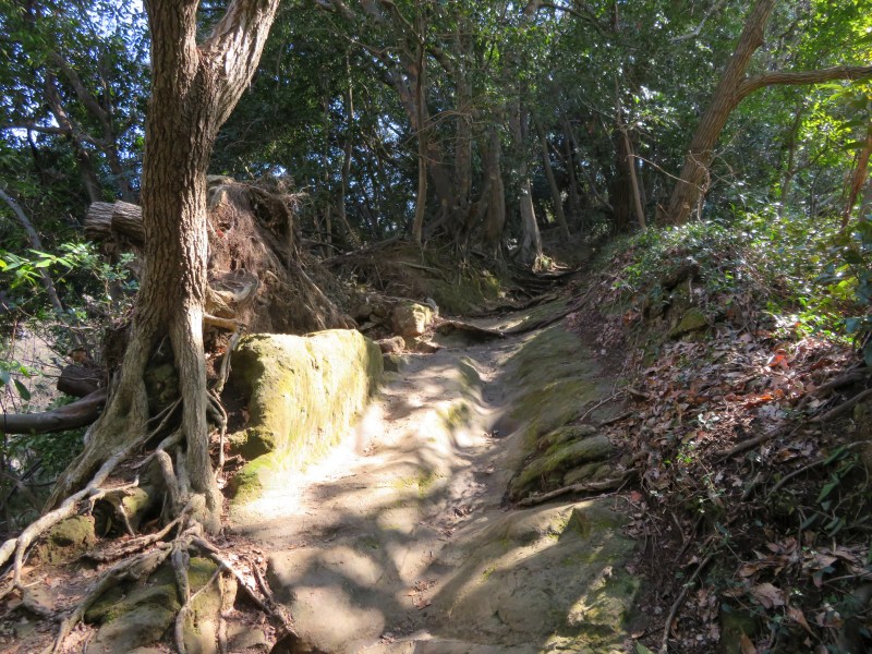 Ten-en hiking trail kamakura 10