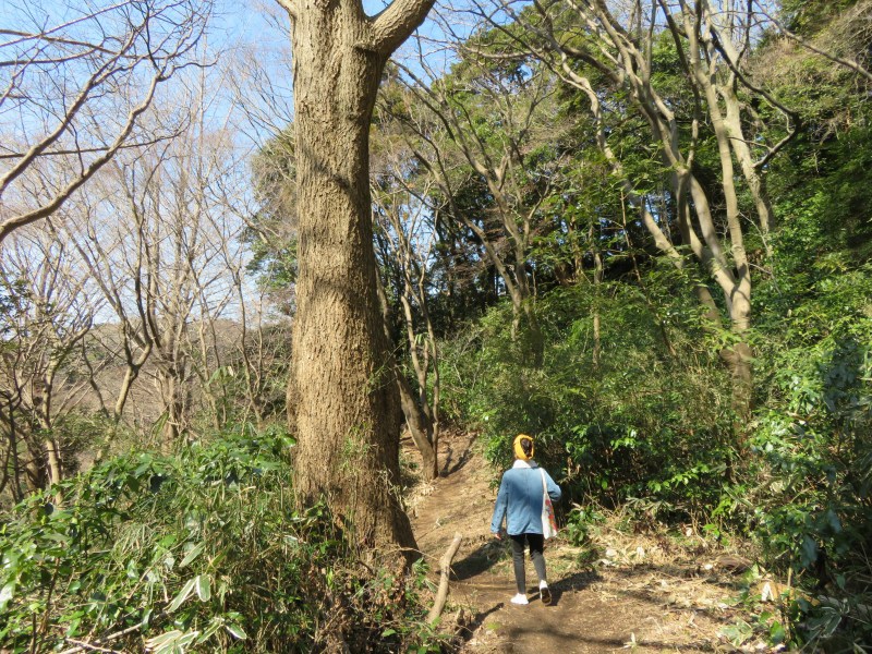 Ten-en hiking trail kamakura 14