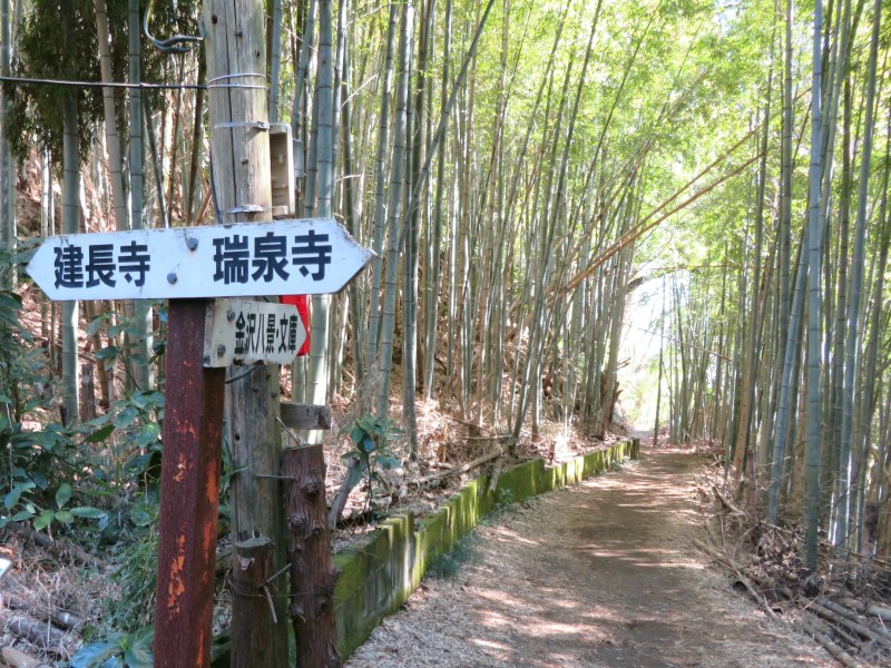 Ten-en hiking trail kamakura 16