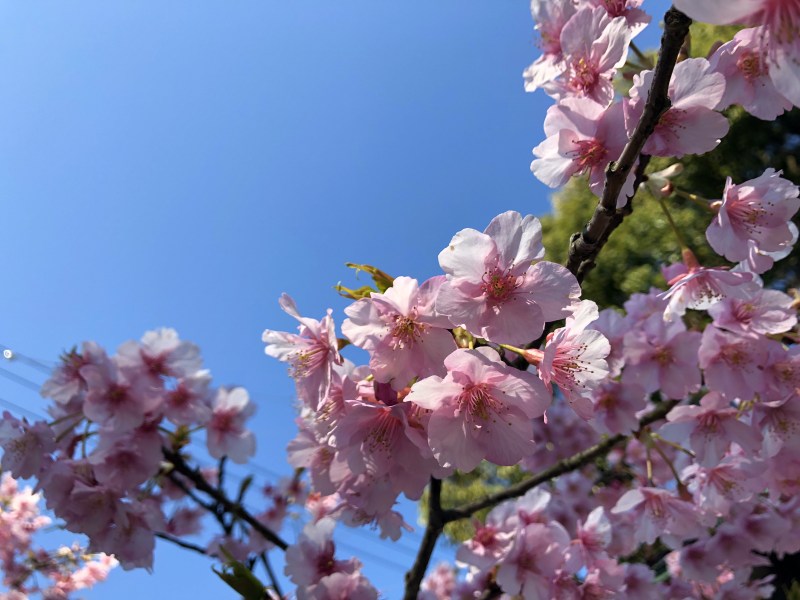 Ten-en hiking trail kamakura 17