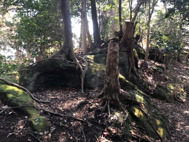 Ten-en hiking trail kamakura 18