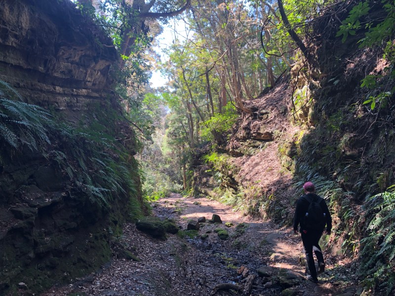 Ten-en hiking trail kamakura 19