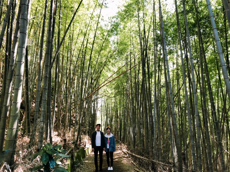 Ten-en hiking trail kamakura 3