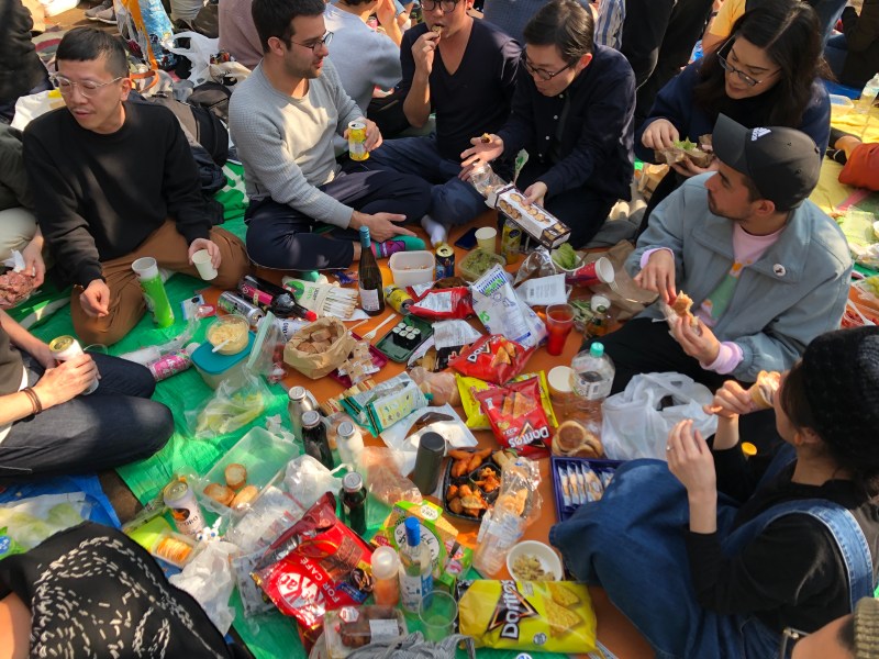 Sakura cherry blossoms Tokyo 8