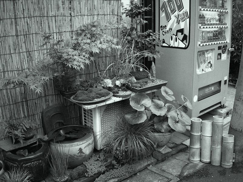 YASHICA - digiFilm B&W