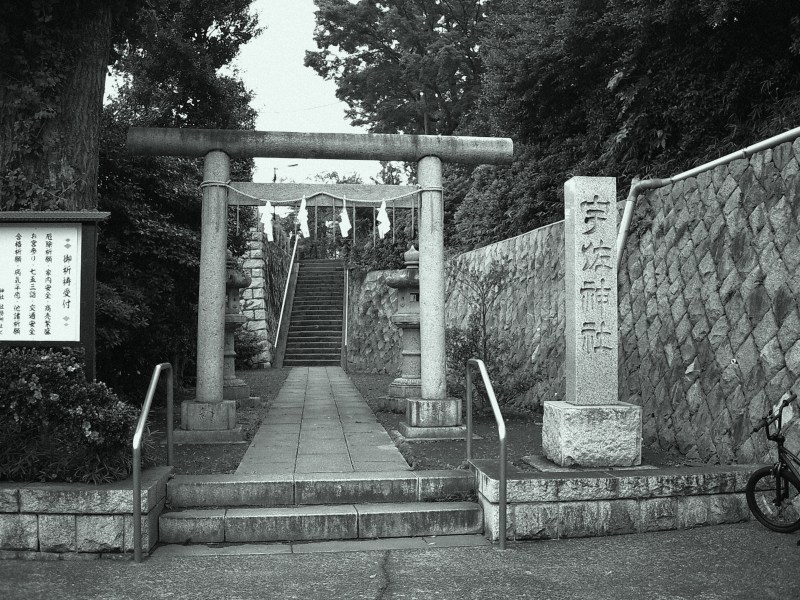 YASHICA - digiFilm B&W