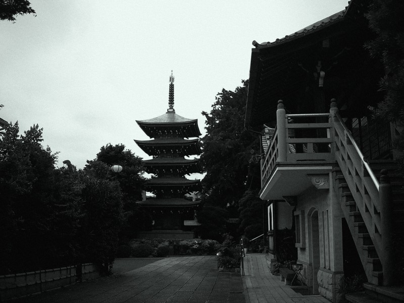 YASHICA - digiFilm B&W