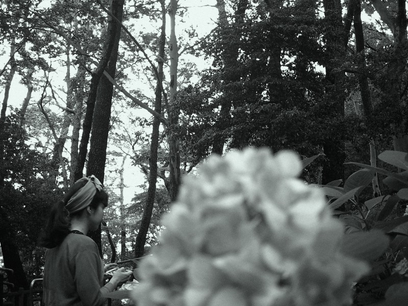 YASHICA - digiFilm B&W