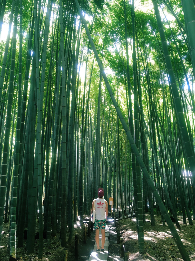 Processed with VSCO with c3 preset