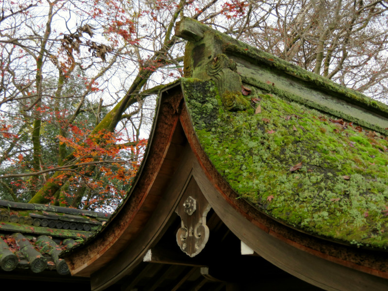 kawai-jinja-shrine-kyoto-2