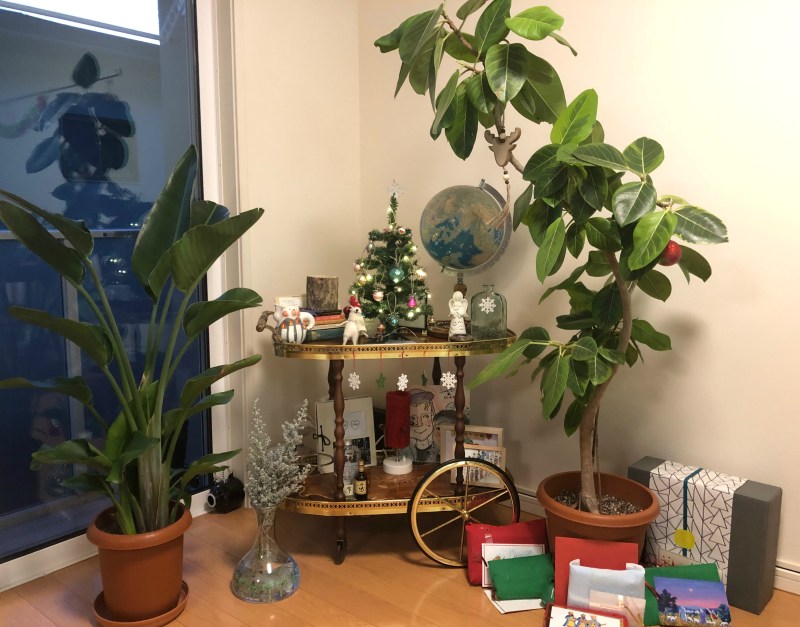 79920004_439570053595090_6923275814142214144_n