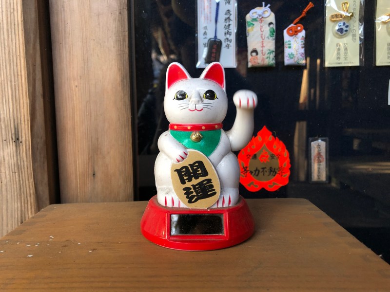 Nodding cat Todoroki