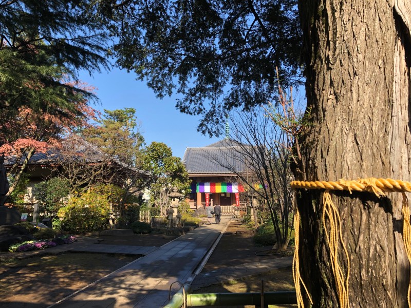 Kongoin Temple Shiinamachi Tokyo 2