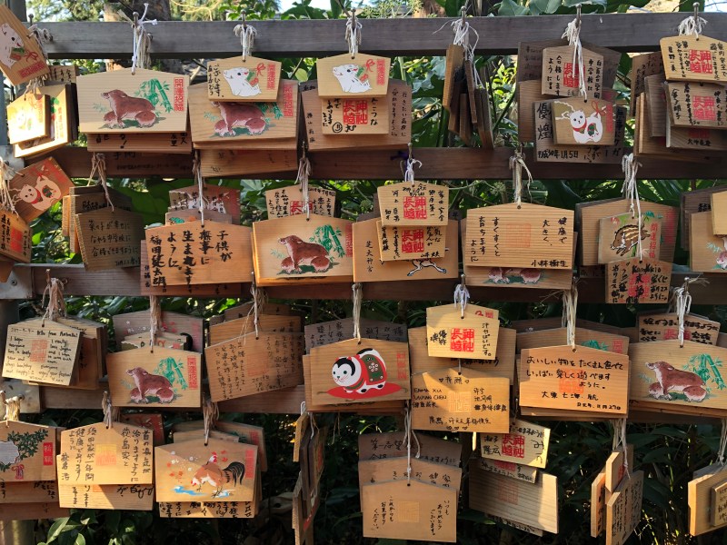 Kongoin Temple Shiinamachi Tokyo 3