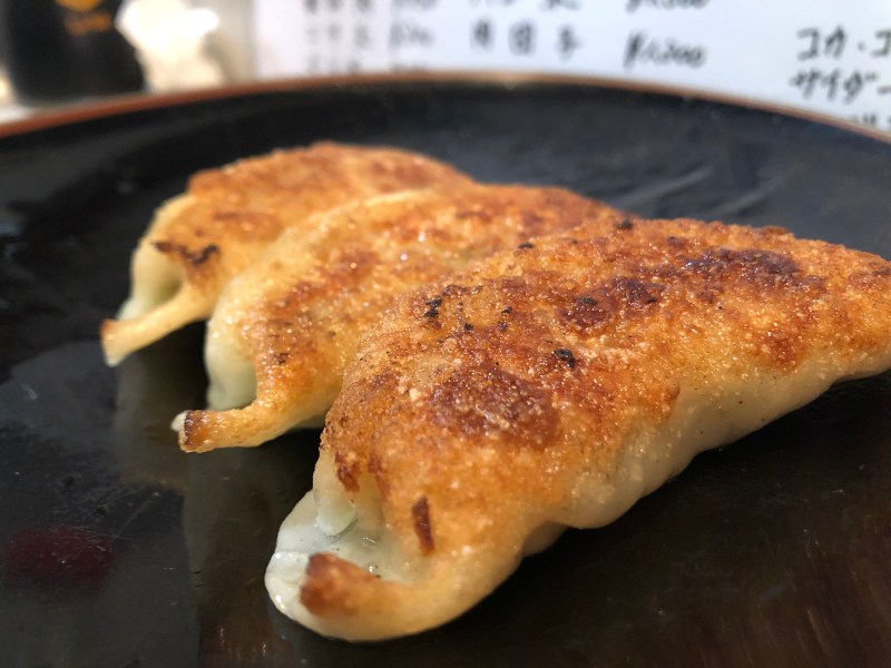 gyoza close up tokyo