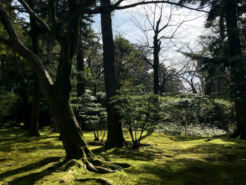 10. Kanazawa trip Kenrokuen, Kanazawa sunshine 1