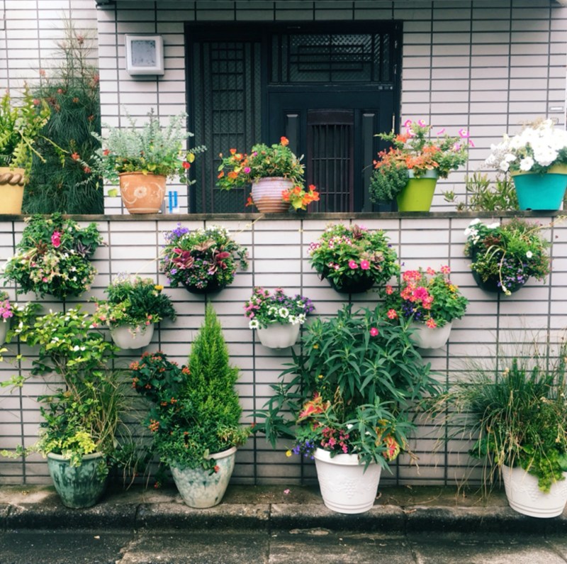potted plants tokyo