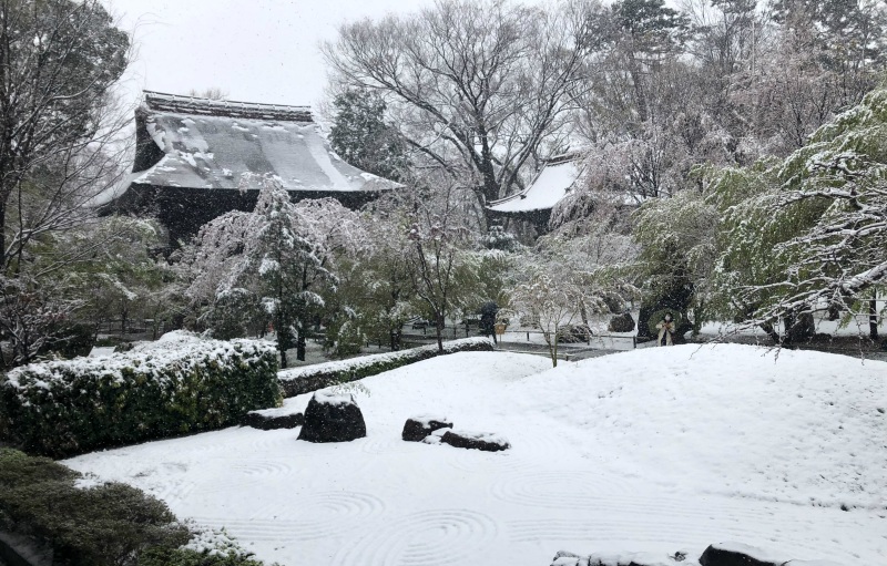 snow tokyo temple