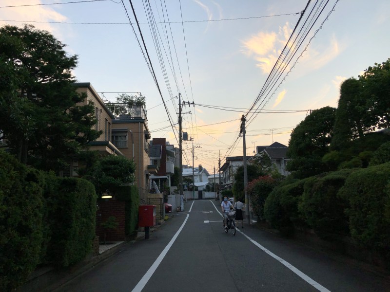 Tokyo suburbs beautiful dusk