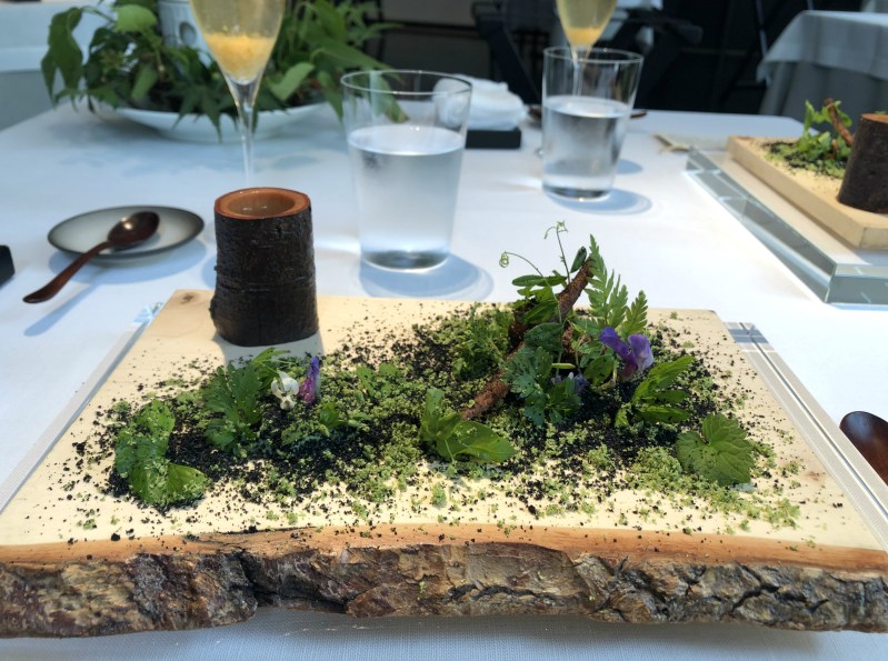 Narisawa satoyama scenery essence of the forest